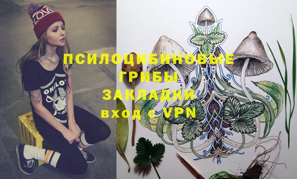 сатива Строитель
