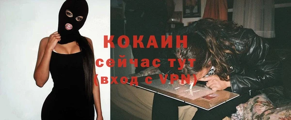 бошки Горняк