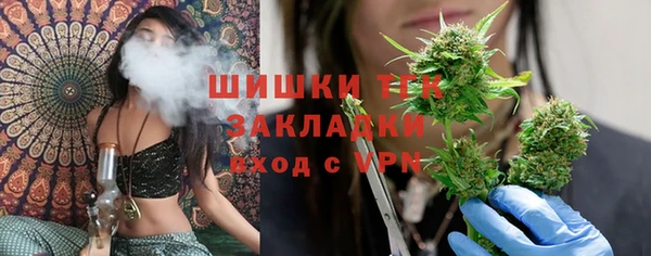 хмурый Горно-Алтайск