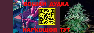 apvp Партизанск