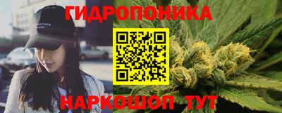 apvp Партизанск