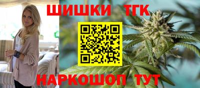 apvp Партизанск