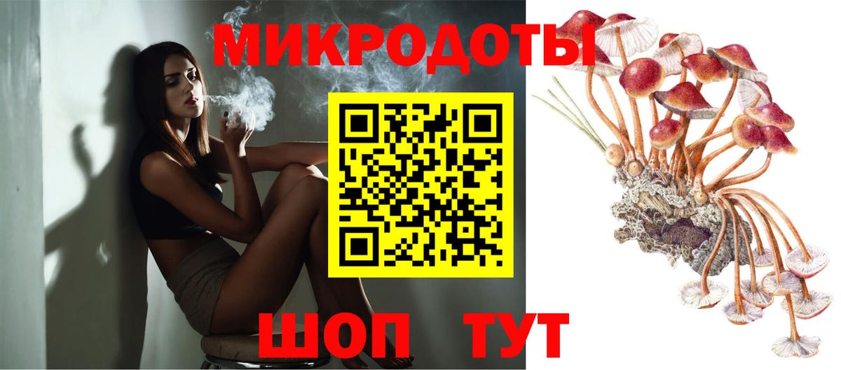 Псилоцибиновые грибы Psilocybine cubensis Химки