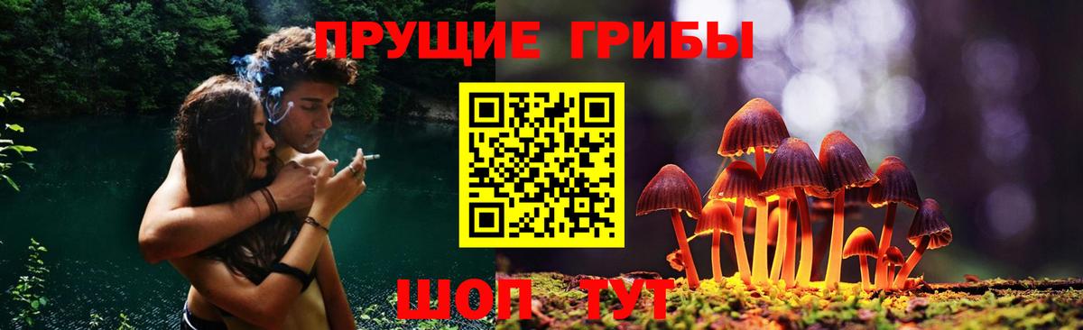 Псилоцибиновые грибы мухоморы  Вход с VPN  закладка  Химки 